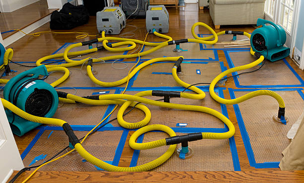Professional Flood Damage Restoration technician working in Jamaica, NY